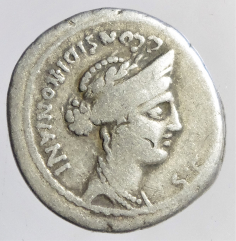 obverse: denario considia