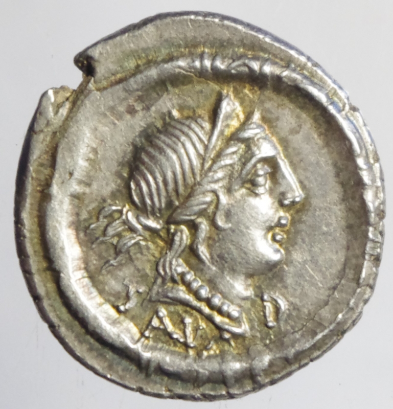 obverse: junia denario