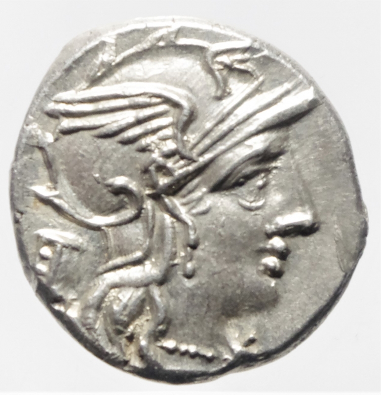 obverse: denario marcia