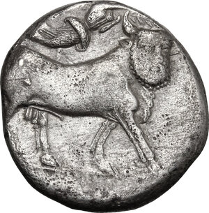 reverse: Central and Southern Campania, Neapolis. AR Didrachm, circa 320-300 BC