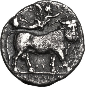 reverse: Central and Southern Campania, Neapolis. AR Didrachm, 300-275 BC