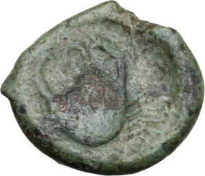 reverse: Bruttium, Terina. AE 17 mm, circa 350-275 BC