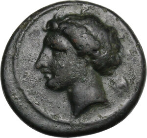obverse: Syracuse.  Agathokles  (317-289 BC).. AE 16 mm