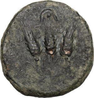 reverse: Uncertain mint. . AE Shekel. Libyan Revolt (c. 241-238 BC)