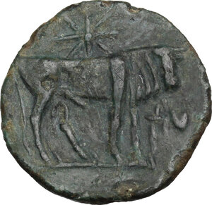 reverse: Uncertain mint.. AE 18.5 mm. Second Punic War, c. 220-215 BC