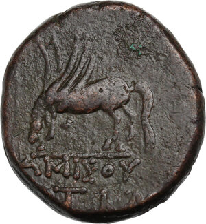 reverse: Pontos, Amisos. AE 23 mm time of Mithradates VI Eupator, c. 85-65 BC
