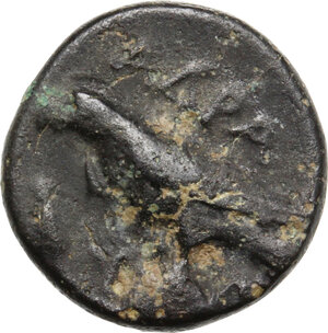reverse: Mysia, Adramyteion. AE 11.5 mm. 360-340 BC