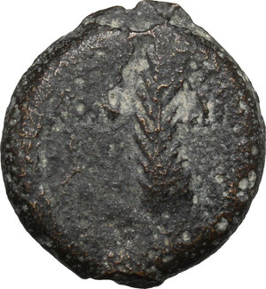 obverse: Judaea.  Valerius Gratus, Procurator 15-26 AD. AE Prutah in the name of Tiberius, 24/25 AD, Jerusalem mint