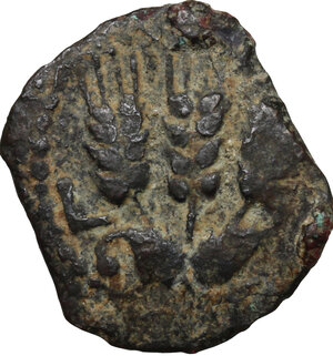 reverse: Judaea.  Agrippa I (37-44).. AE Prutah, year 6 (41/42 AD). Jerusalem mint