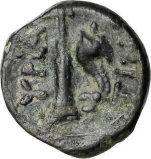 reverse: Northern Apulia, Hyrium. AE 12 mm, 3rd century BC