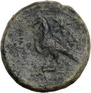 reverse: Southern Apulia, Caelia. AE Uncia, c. 250-225 BC