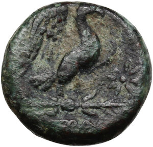 reverse: Southern Apulia, Graxa.. AE 12.5 mm. c. 250-225 BC