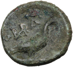 reverse: Southern Apulia, Orra. AE 16 mm. c. 250-225 BC