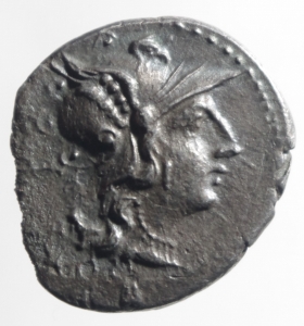 obverse: Repubblica romana .C.Servilius M.F. . 136 a.C. . Denario . D/ Testa di Roma a d., dietro corona e XVI in monogramma, sotto ROMA R/ Dioscuri su cavalli impennati di spalle tengono lancia, C.SERVEILI M.F. RRC 239/1. Peso 3,04g. Diametro 18mm. qBB