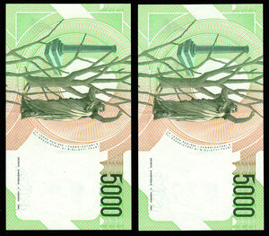 reverse: REPUBBLICA - 5000 Lire Bellini