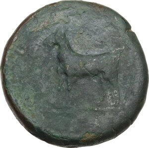 reverse: Illyria, Pharos.. AE Litra, c. 350-320 BC