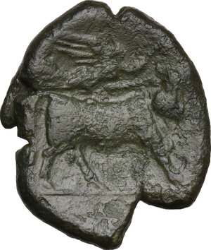 reverse: Samnium, Southern Latium and Northern Campania, Compulteria. AE20, (c. 265-240 BC)
