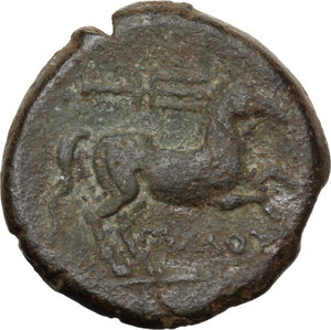 reverse: Northern Apulia, Salapia. AE 20 mm, 225-210 BC