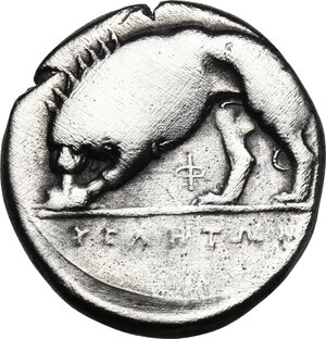 reverse: Northern Lucania, Velia. AR Nomos, circa 334-300 BC