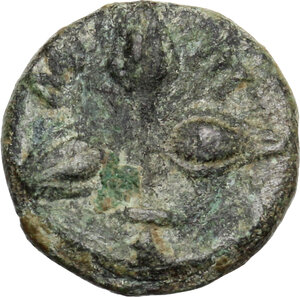 reverse: Southern Lucania, Metapontum. AE 13 mm, 300-250 BC