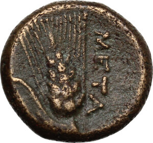 reverse: Southern Lucania, Metapontum. AE 14 mm, 300-250 BC