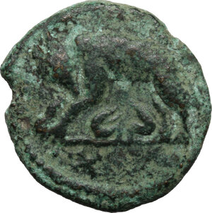 reverse: Ostrogothic Italy, Athalaric (526-534).. AE 20 Nummi – Half Follis. Rome mint