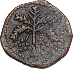 reverse: Italy..  Guglielmo II (1166-1189).. AE Trifollaro, Messina or Palermo mint