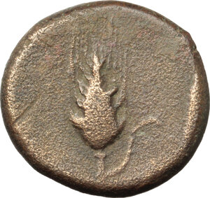 reverse: Northern Apulia, Ausculum. AE 21 mm. c. 300-275 BC