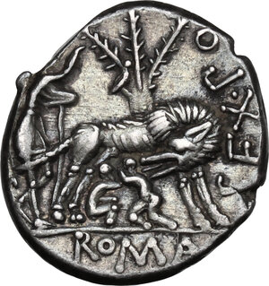 reverse: Sex. Pompeius Fostlus.AR Denarius, 137 BC