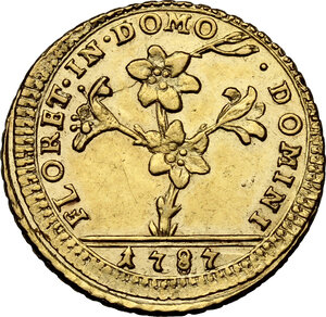 reverse: Roma. Pio VI (1775-1799), Giovanni Angelo Braschi. Doppia romana