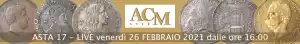 Banner ACM 17