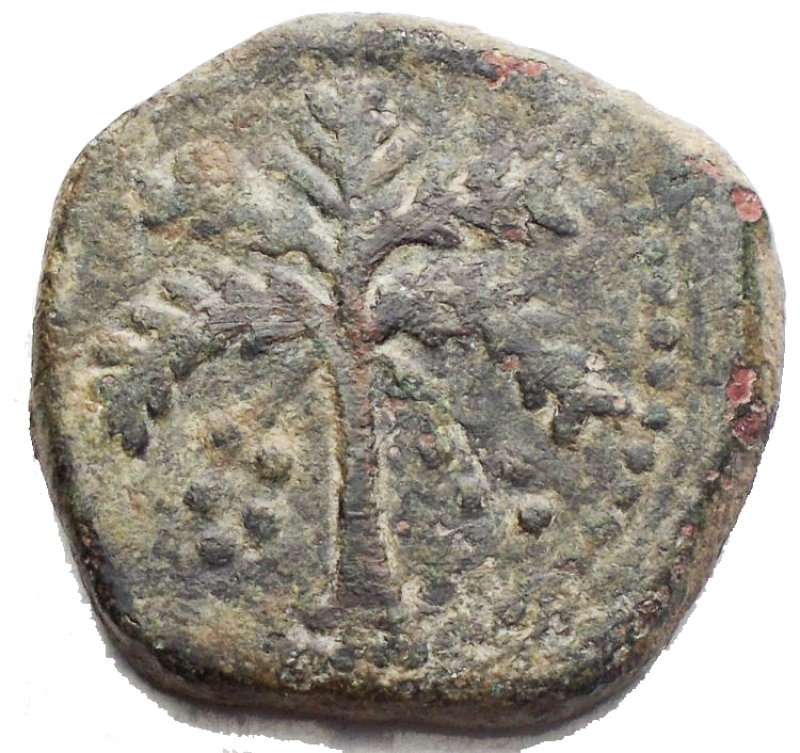 reverse: Zecche Italiane - Messina. Guglielmo II 1166-1189. Trifollaro. d/testa di leone. r/palma. Ae. g 10,2. BB+