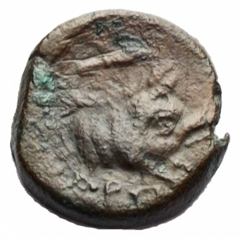 reverse: Mondo Greco - Arpi (Ca 325-275 a.C.) AE 15mm. D/ Testa di Zeus a sinistra. R/ Mezzo cinghiale a destra, sopra lancia. 3.25gr. HN Italy 643. BB++.R