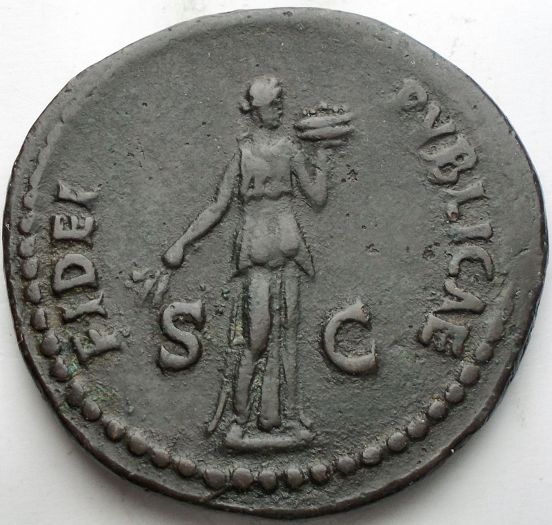 obverse: Roman Imperial Coinage Domitianus (81-96) - AE As (Rome AD 86. 9,99 g) - IMP CAES DOMIT AVG GERM COS XII CENS PER P P,  laureate head right with aegis on neck / FIDEI PVBLICAE / S – C, Fides standing right, holding corn-ears with poppy in right hand and dish of fruits in left (RIC 332, BMCRE 385) – VF. Green patina
