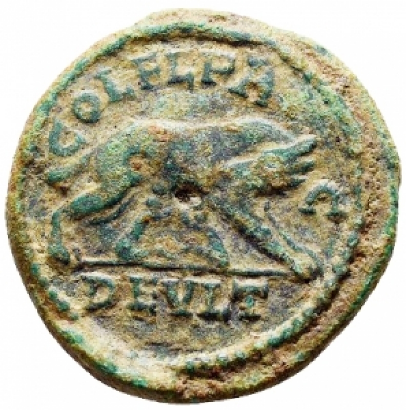 reverse: Impero Romano - Tranquillina 241-244. Tracia. Deultum. g 8,9. mm 24. Bell esemplare. R 