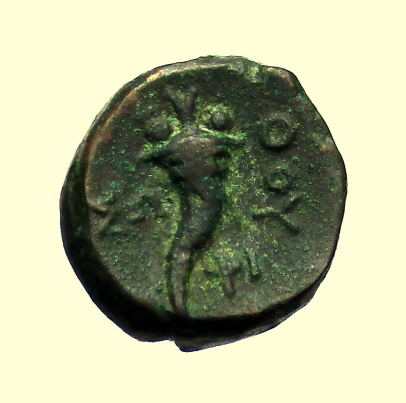 reverse: Mondo Greco. Lucania, Thourioi 280-250  a.C. 