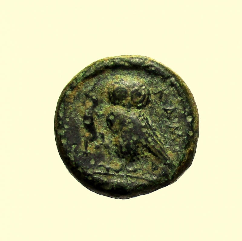 reverse:   Mondo Greco. Sicilia. Kamarina. 413-405 a.C. Tetras Ae 
