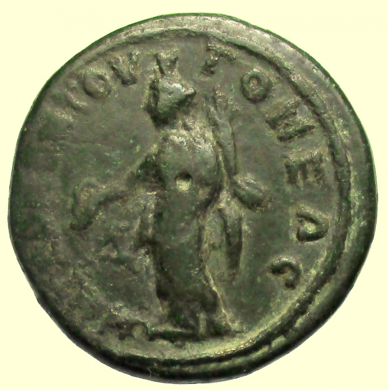 reverse: Provincia Romana. Gordiano III e Tranquillina 238-244 d.C. 