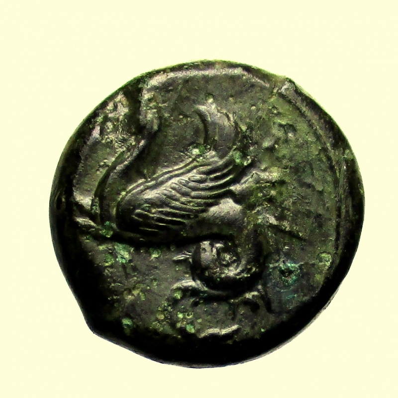 reverse: Mondo Greco. Sicilia. Siracusa. 409-395 a.C. Litra. Ae. 