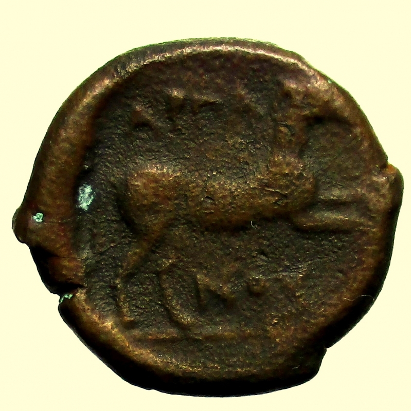 obverse: Mondo Greco. Apulia. Arpi. ca. 275-250 a.C. Ae. 