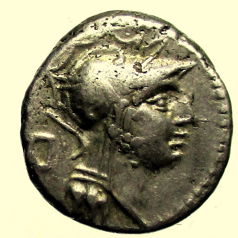 obverse: Repubblica Romana - Gens Junia. D Junius Silanus LF. 91 a.C. Denario. 