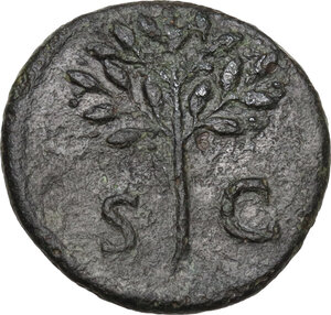 reverse: Domitian (81-96).. AE Quadrans, 84-85