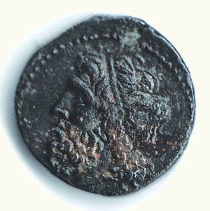 obverse: SIRACUSA - Gerone II (274-216 aC) - Bronzo.