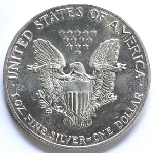 obverse: USA. Dollaro 1987. Oncia. Ag. 