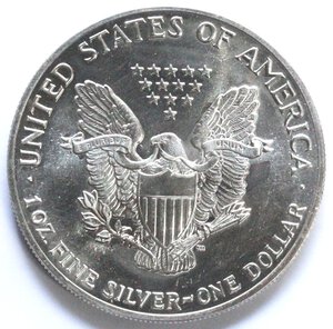 obverse: USA. Dollaro 1989. Oncia. Ag. 