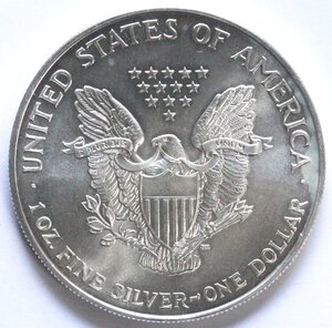 obverse: USA. Dollaro 1995. Oncia. Ag. 
