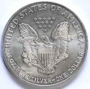obverse: USA. Dollaro 2004. Oncia. Ag. 