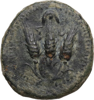 reverse: AE Shekel (?). Circa 241-215 BC. Uncertain mint