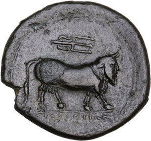 reverse: Central and Southern Campania, Neapolis. AE 21mm. c. 300-275 BC