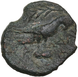 reverse: Northern Apulia, Salapia. AE 14.5 mm. Circa 225-210 BC